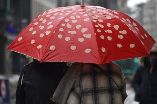 rain 5630234 640