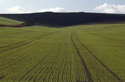 An aerial shot of a grassy field with a mountain in the distance at Wiltshire, UK