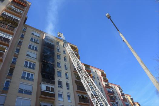 6773aac051db16.11291602