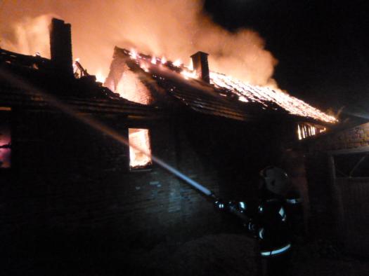 6773aac4393de1.68753960