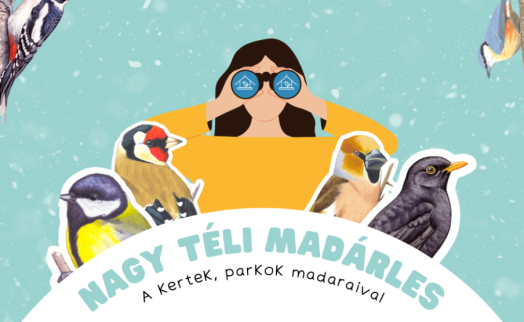 nagy teli madarles 3