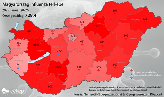 influenza