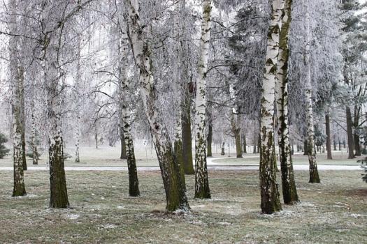 winter 1943372 640