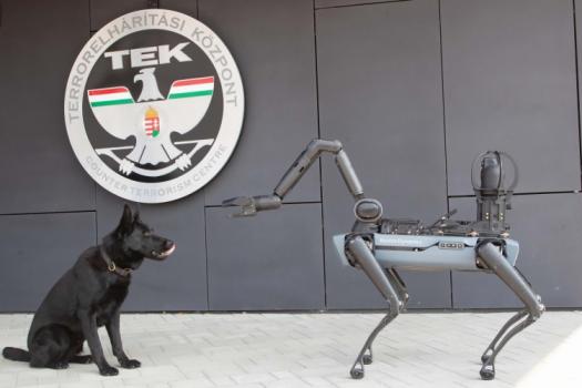 LEAD tek robotkutya 20250610 SZG