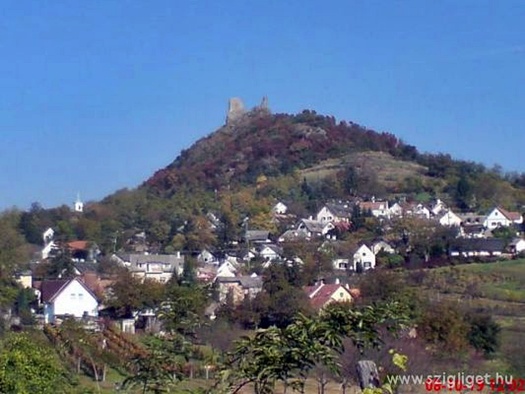 img 1261918264 713