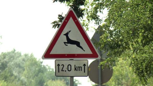 vad veszely kozut 5
