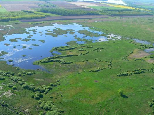 kis balaton 7dfc2be1 1801235