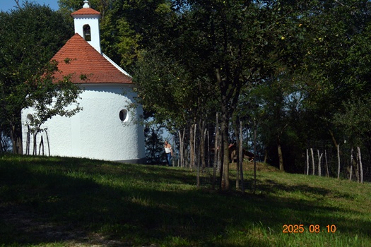 DSC 2143