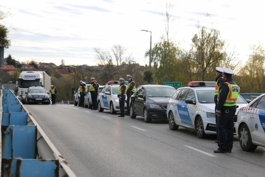 Img 6419 0