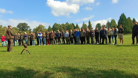 IMG 20251002 113801