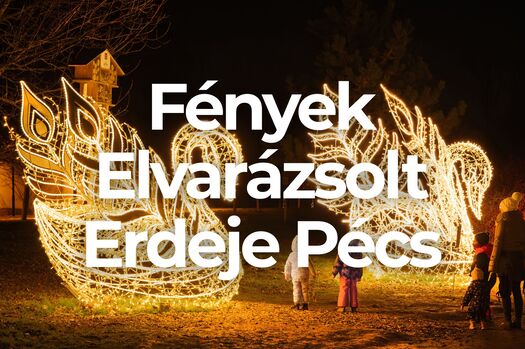 Fenyek Elvarazsolt Erdeje Pecs STORY OF LIGHTS 
