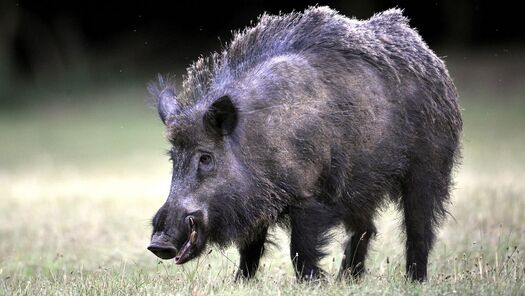 2e5f02d1f5db435095582e3e93dc2dd9