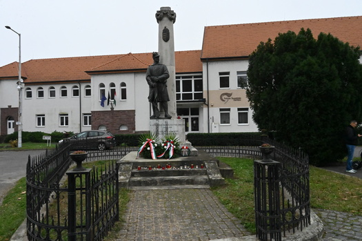 DSC 8007