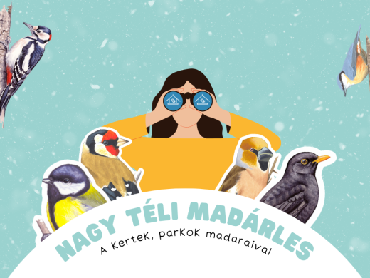 nagy teli madarles 3
