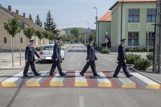 LEAD Dorogi zebra