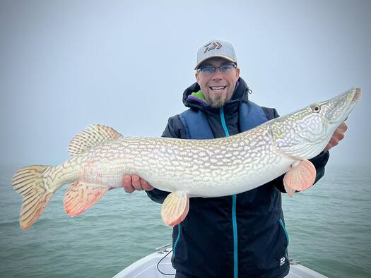 599683679 1266155372209548 748436218232032625 n