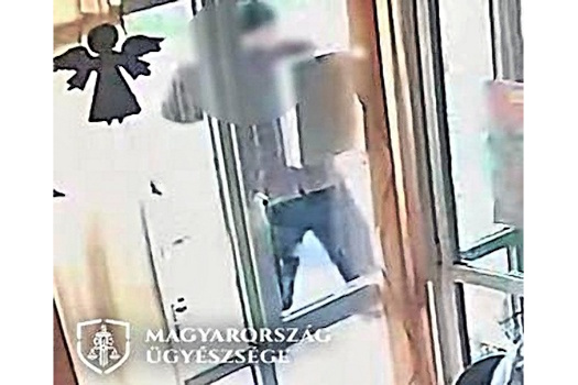 kep 1. a vitazo vadlott ZOOM