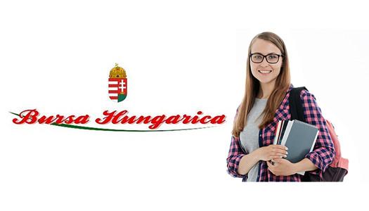 bursa hungarica 800