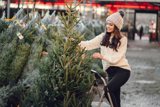 Elegant girl buys a Christmas tree. Woman in a white knited sweater. Beautiful lady with dark hair.