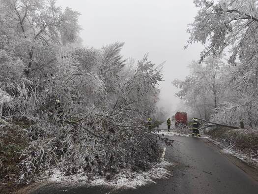 6943ea0c36cb50.60806725