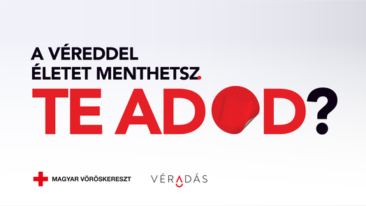 web header OK