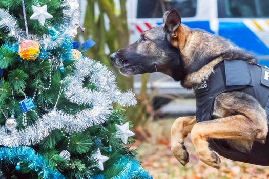 LEAD karifa vegeredmeny