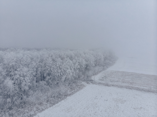 Field and white frozen trees in fog in winter, aerial view from the high altitude