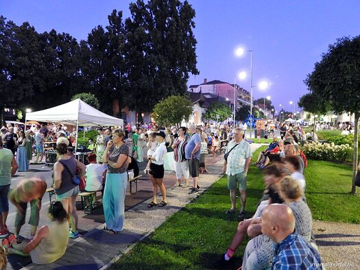 20250809 204606 dscn6502