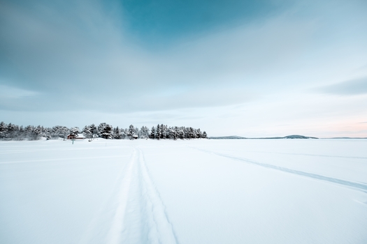beautiful scenery lot leafless trees snow covered land sunset
