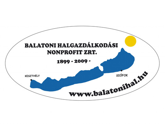 4 3 as LOGO honlapra