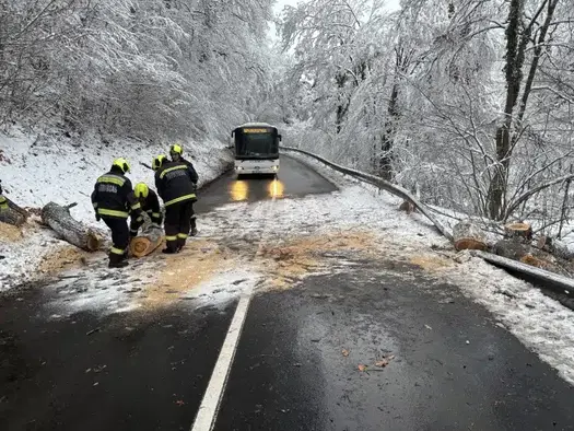 692402efc1ba51.40994918