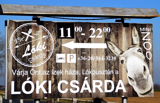 642872295 901515826183429 3451123515464217426 n