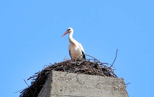 DSCN2532