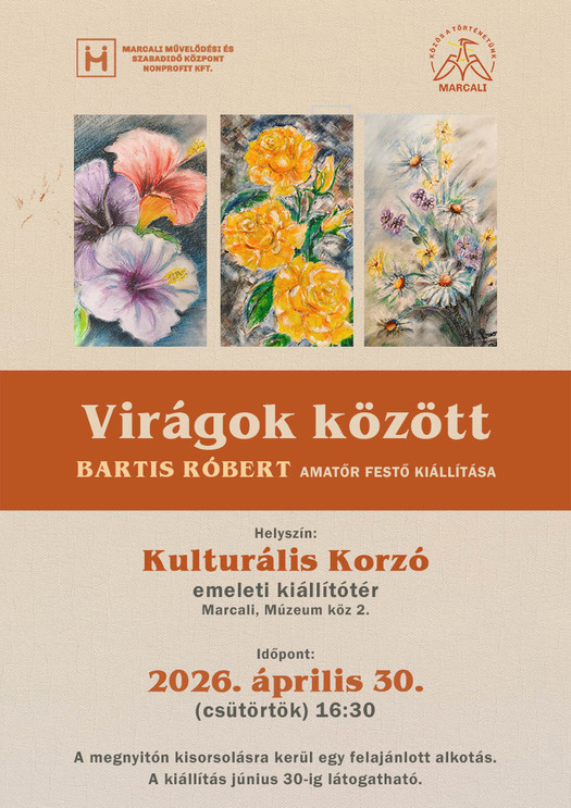 0430 plakat bartisrobert web