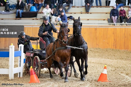 730d252c cf3e 4739 b3a9 8549cef791b6