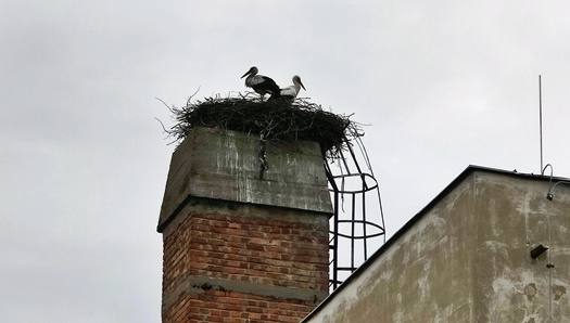 IMG20260414125651 01