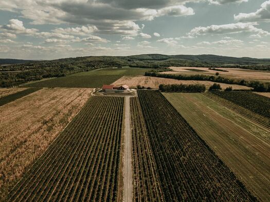 f5a664b3877849d1a3cc7fcfbf06428a