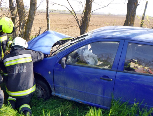 69e6014e89a214.07818035