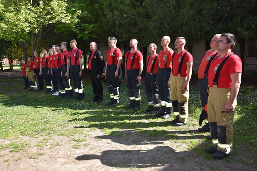 69e6263b8b3a34.83738504