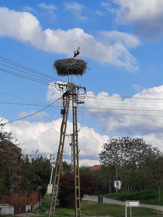 677064336 943152255353119 6281382631249823934 n