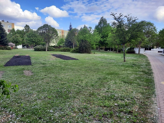 678770992 943151985353146 8480611083608764030 n