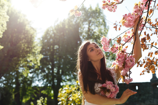 Charming young woman in pink dress poses before a sakura tree full of pink flowers and illuminated with morning sun