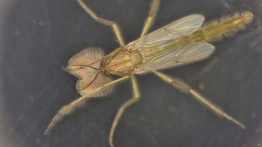 679133313 1276410908001901 585768034159718522 n