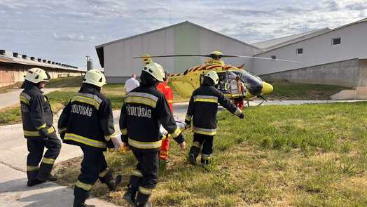 69f20acaaf3c22.02098478