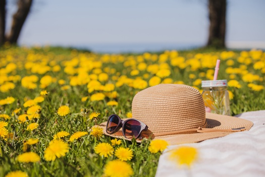 pretty summer hat with sunglasses grass