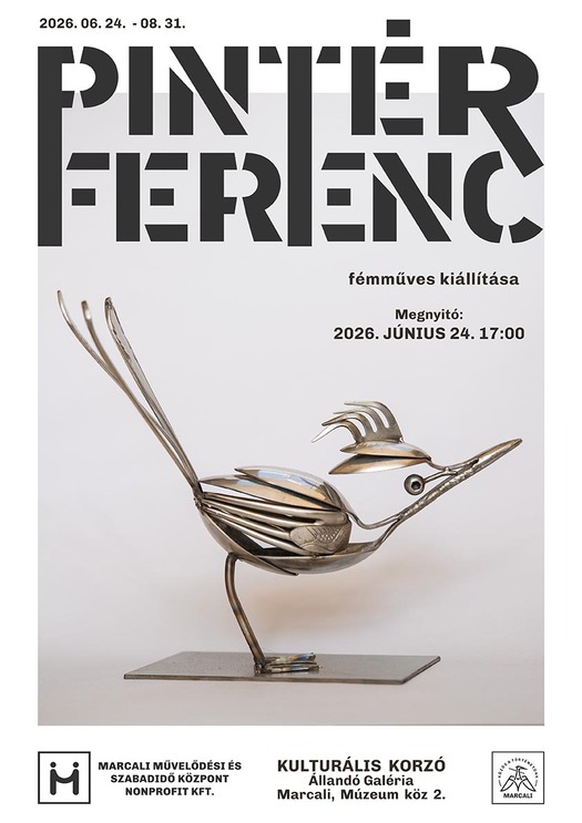 0624 plakat pinterferenc web