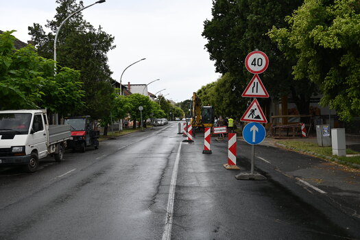 DSC 0384