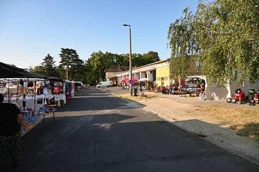 DSC 0889