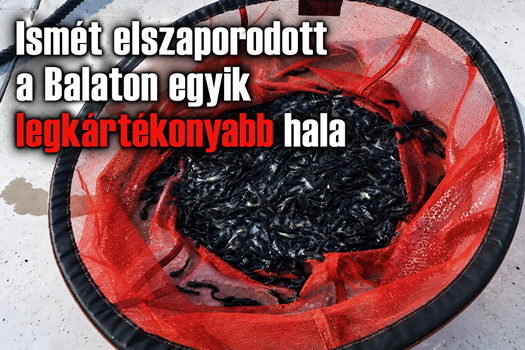 1e7db486 dd74 49ec b4d8 067bb3f64e3a