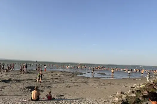 772561753 1465961555560642 9051540702067126539 n